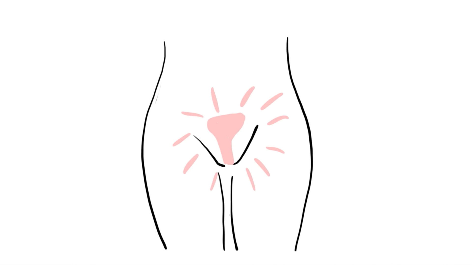 Biofanal Short